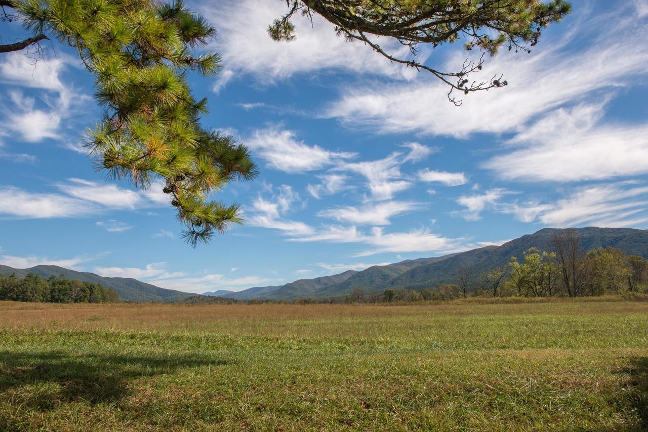 Apartament Sandy'S Sanctuary Pigeon Forge Zewnętrze zdjęcie